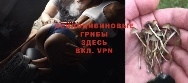 ALPHA PVP Алексеевка