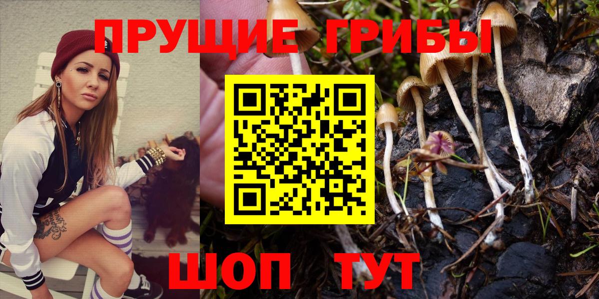 Анапа  Галлюциногенные грибы Psilocybine cubensis  Вход с VPN 
